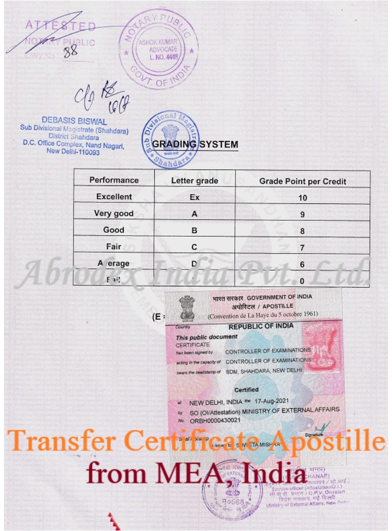 Transfer Certificate Apostille For Portugal In India 7993